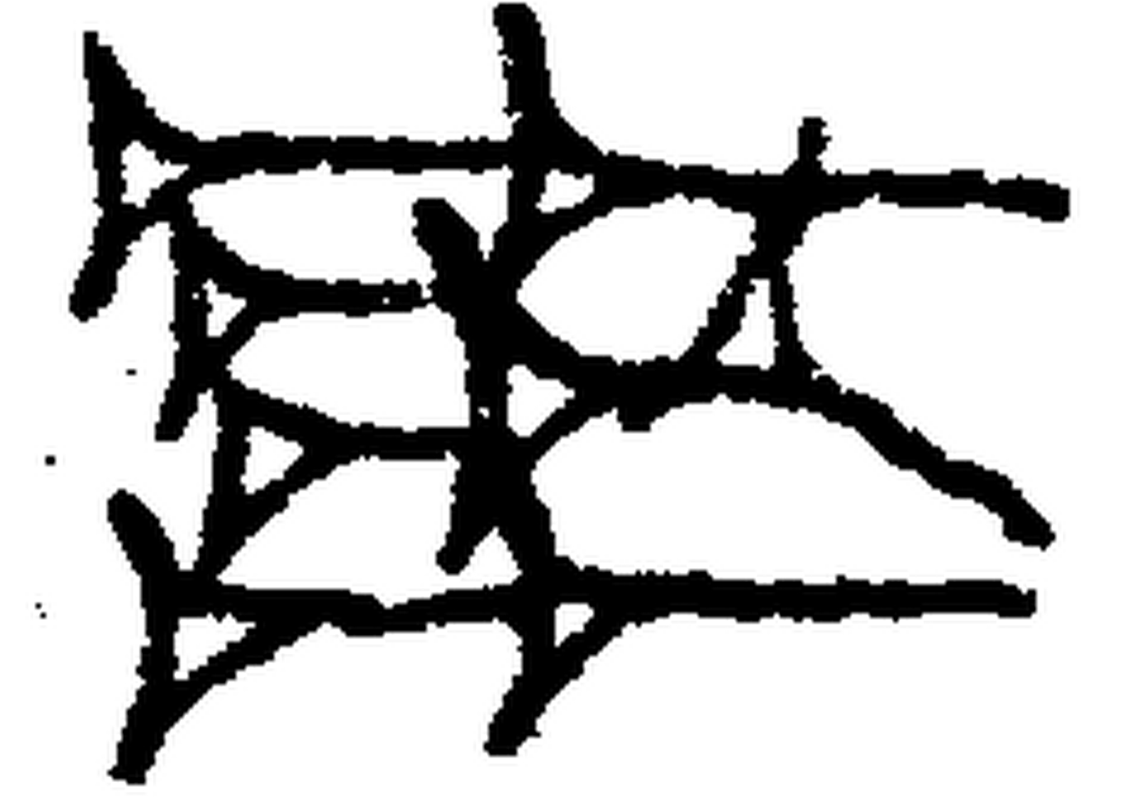 1.signes2_html_32cd01e9.jpg 1.signes2_html_32cd01e9.jpg