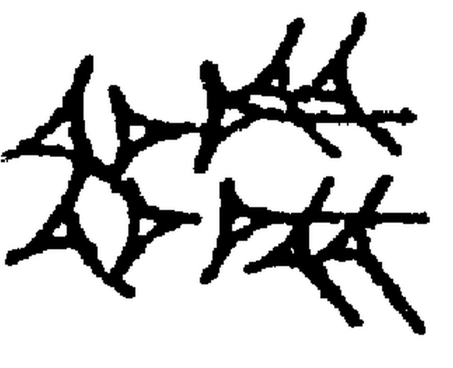 1.signes2_html_m4afa8f23.jpg 1.signes2_html_m4afa8f23.jpg