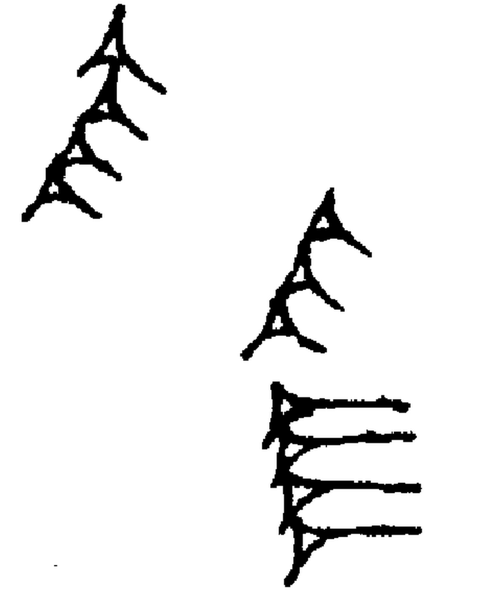 1.signes2_html_37d25ff6.jpg 1.signes2_html_37d25ff6.jpg