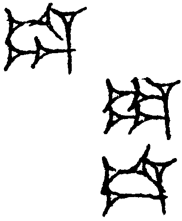 1.signes2_html_1da3e50.jpg 1.signes2_html_1da3e50.jpg