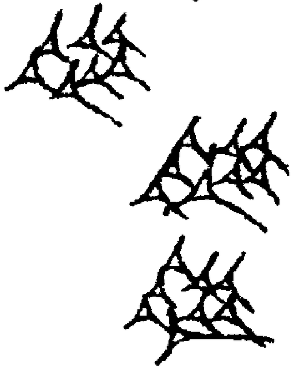 1.signes2_html_m700cad07.jpg 1.signes2_html_m700cad07.jpg