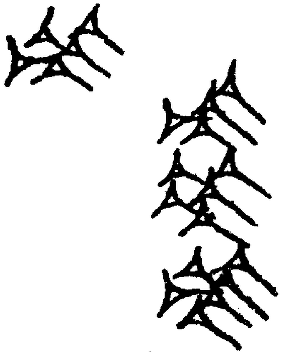 1.signes2_html_m5279160e.jpg 1.signes2_html_m5279160e.jpg