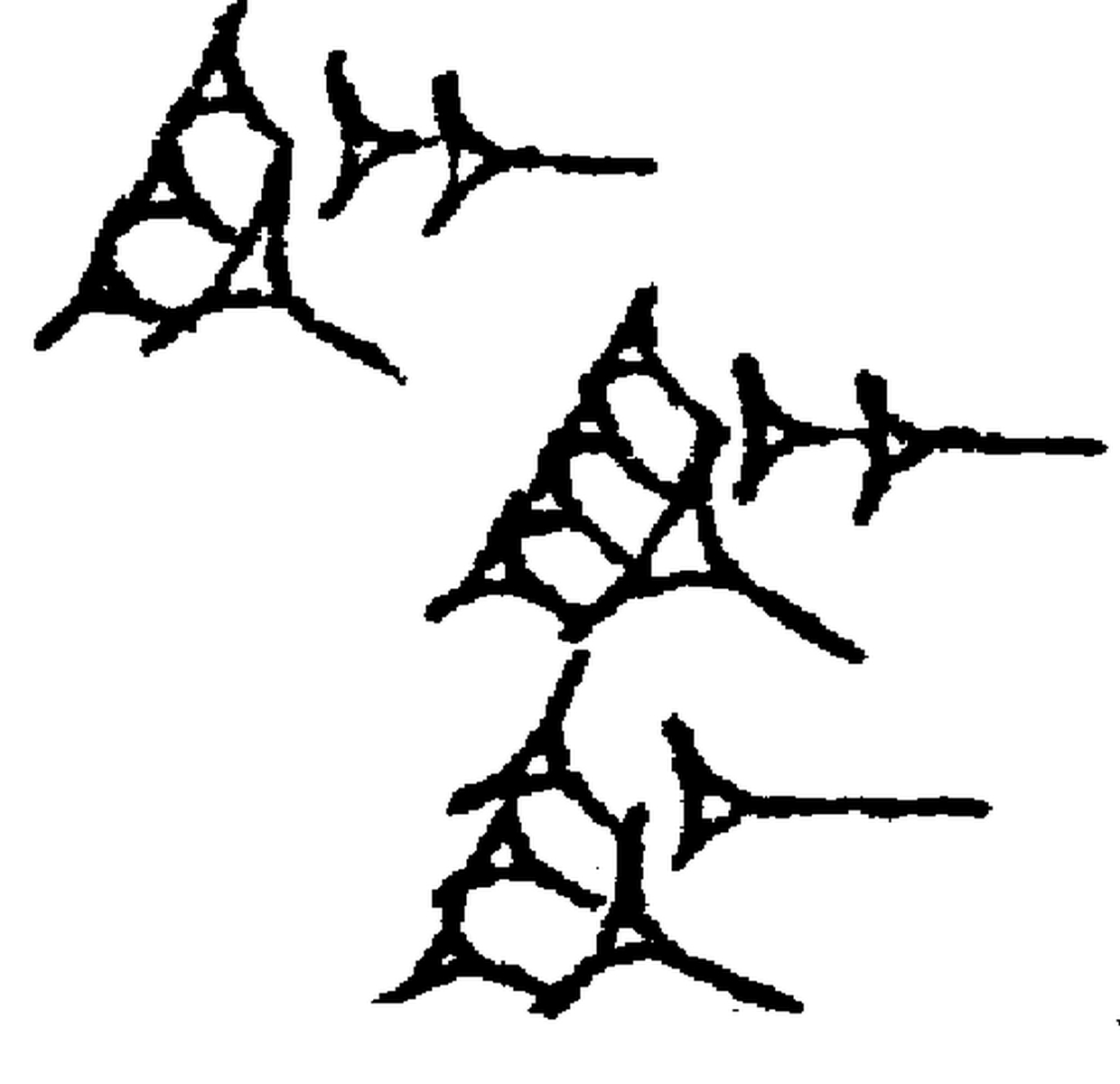 1.signes2_html_6f4cce42.jpg 1.signes2_html_6f4cce42.jpg