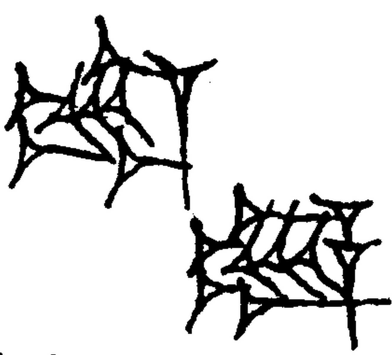 1.signes2_html_m2e9029ac.jpg 1.signes2_html_m2e9029ac.jpg