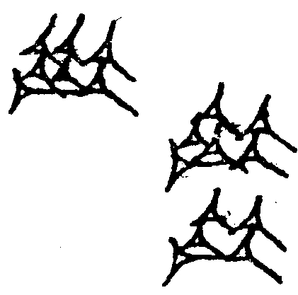 1.signes2_html_1ee78da3.jpg 1.signes2_html_1ee78da3.jpg