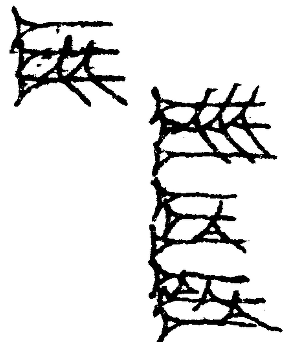 1.signes2_html_m694efcb0.jpg 1.signes2_html_m694efcb0.jpg