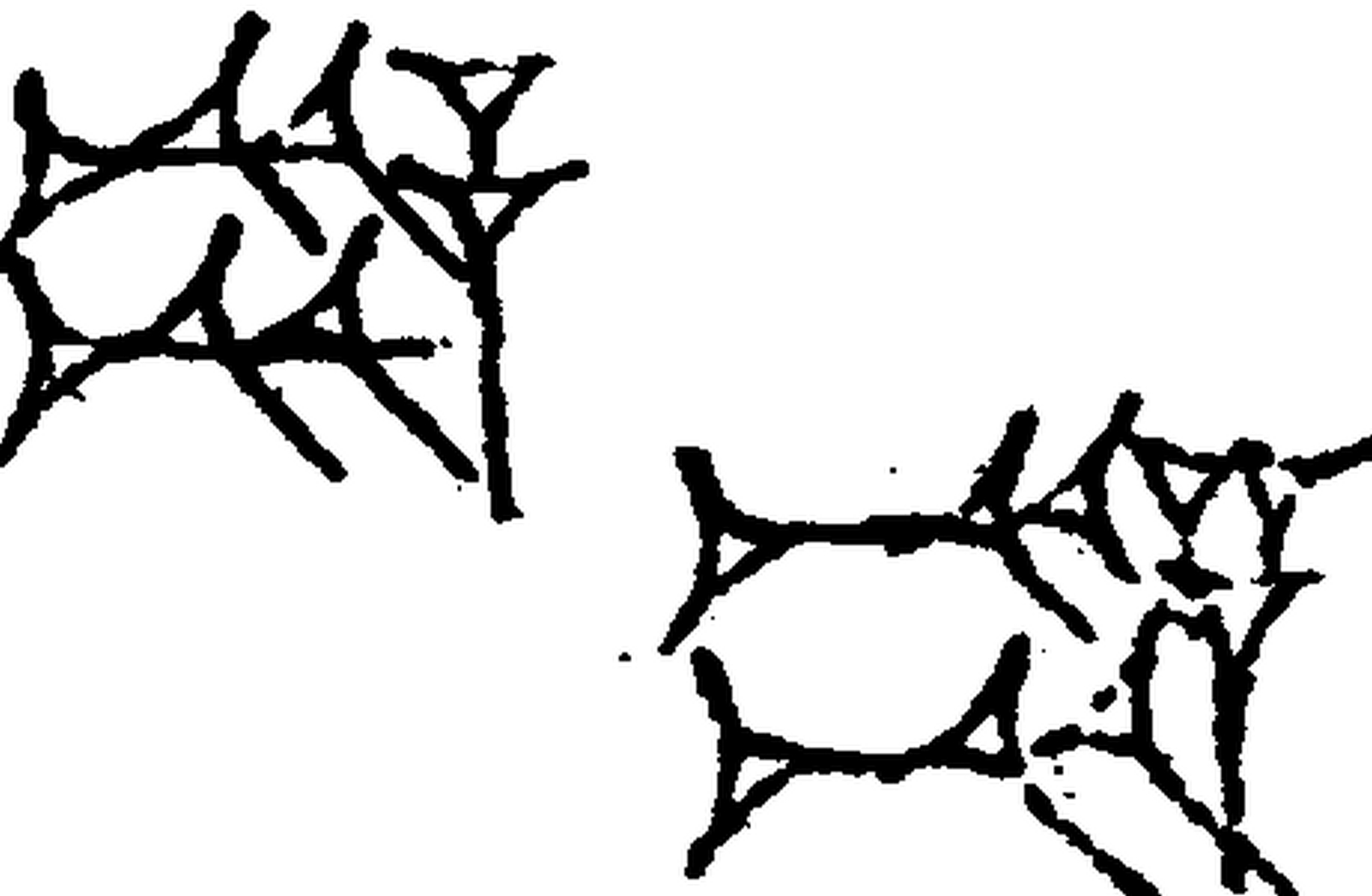1.signes2_html_m135a7b72.jpg 1.signes2_html_m135a7b72.jpg