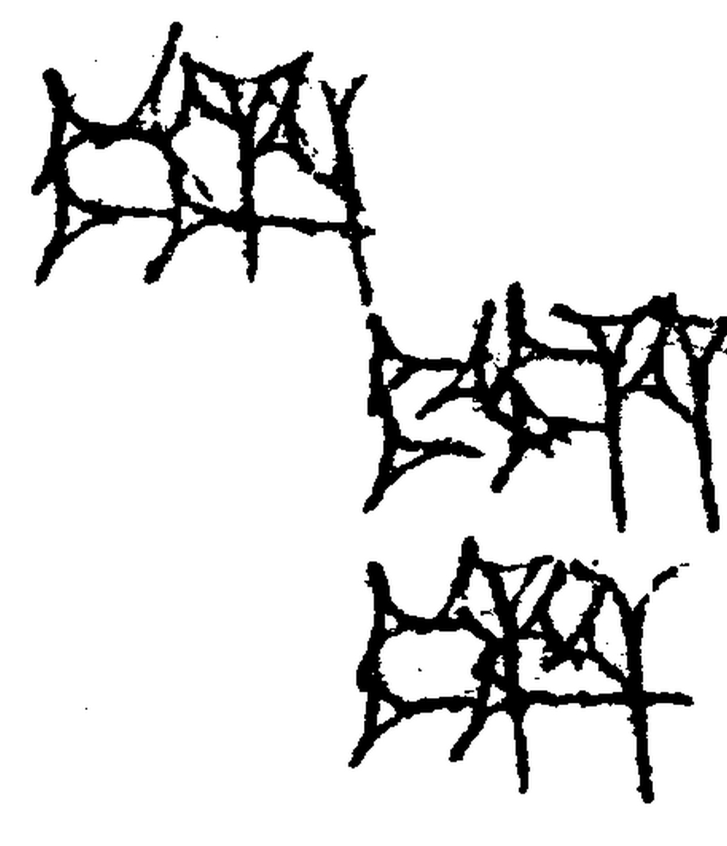 1.signes2_html_m780e6b31.jpg 1.signes2_html_m780e6b31.jpg