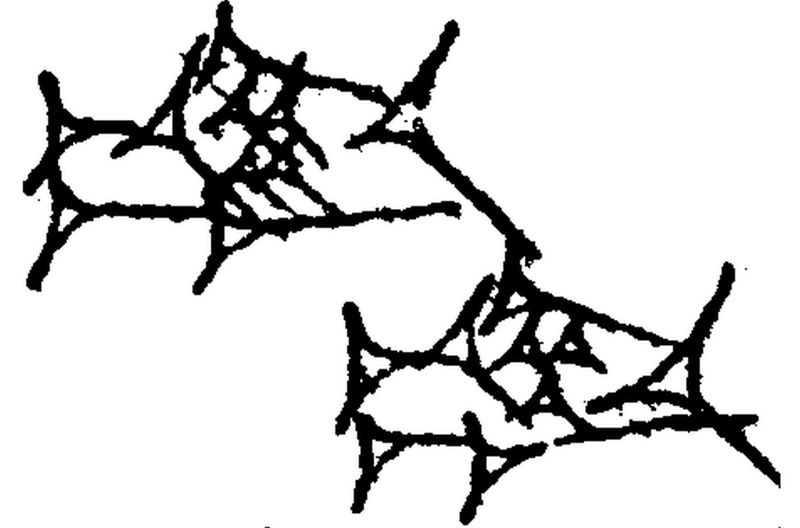 1.signes2_html_2fbb5290.jpg 1.signes2_html_2fbb5290.jpg