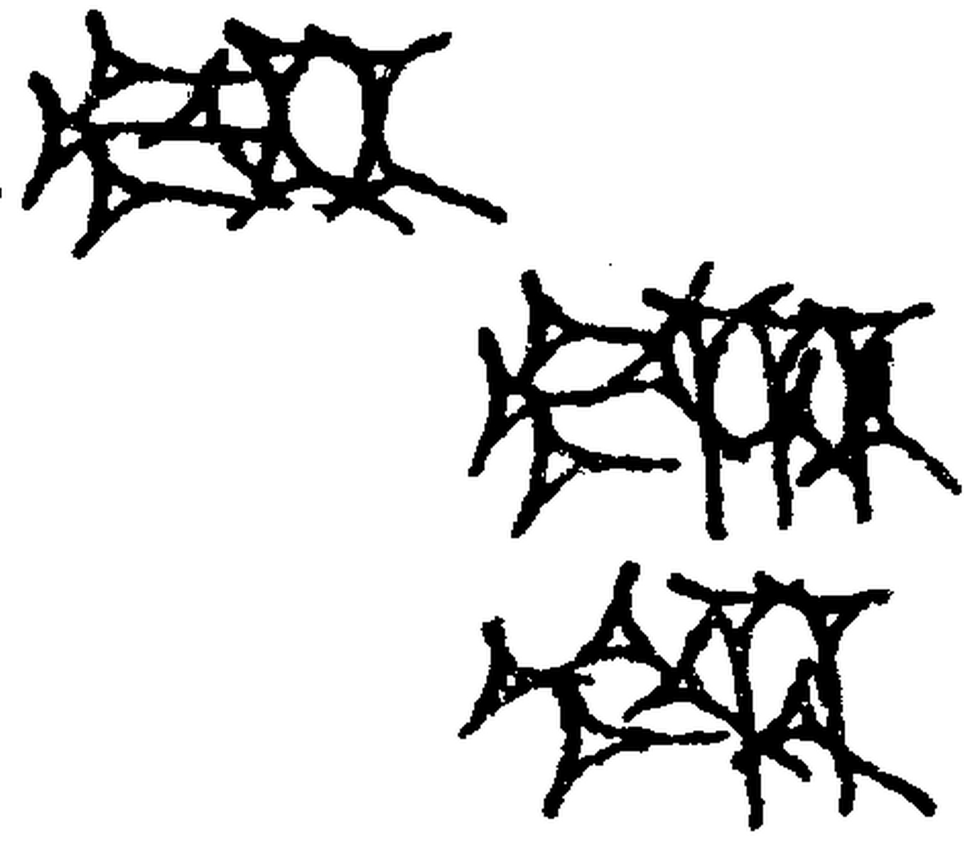 1.signes2_html_5c2418d9.jpg 1.signes2_html_5c2418d9.jpg