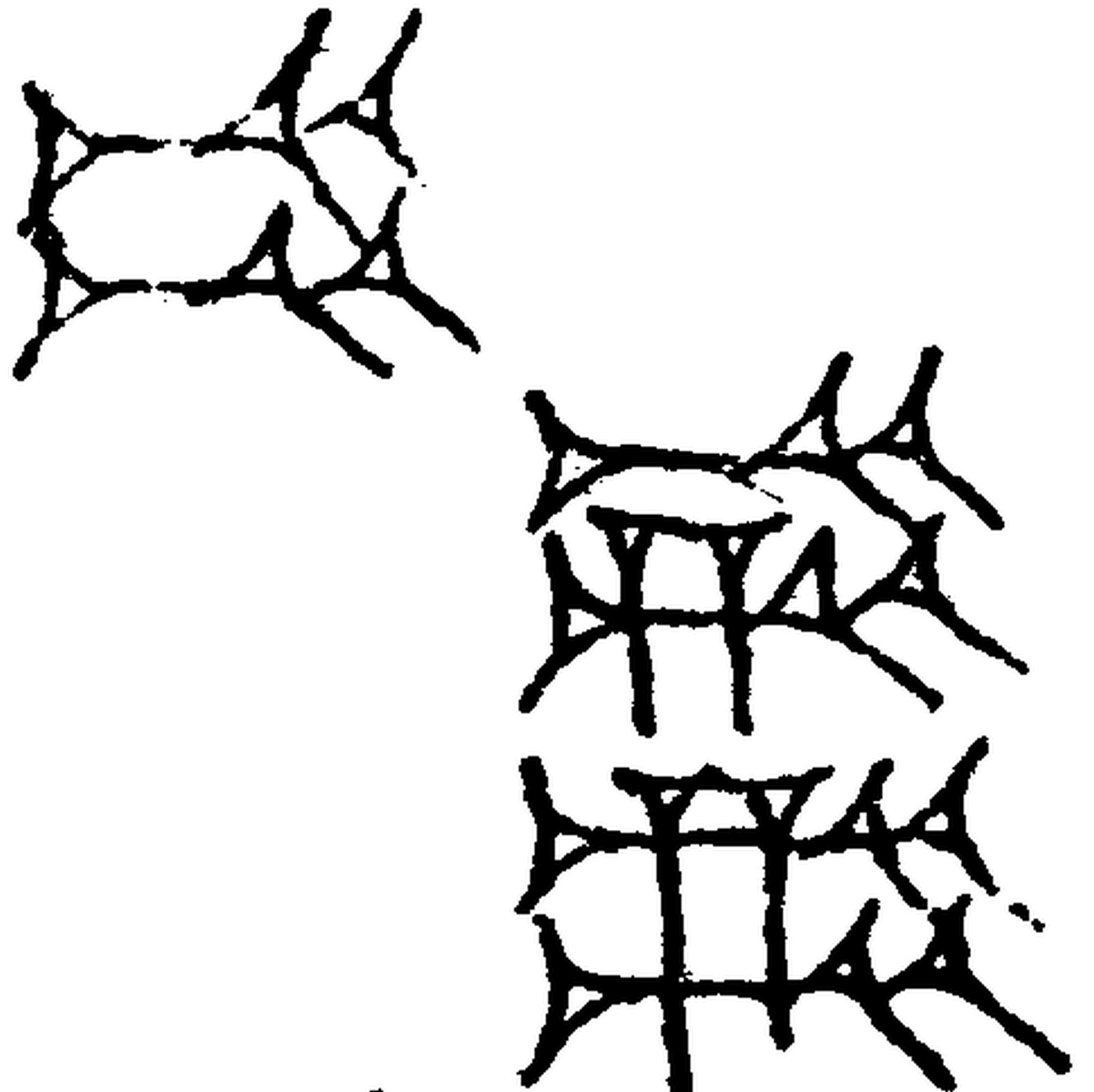 1.signes2_html_m62d3664e.jpg 1.signes2_html_m62d3664e.jpg