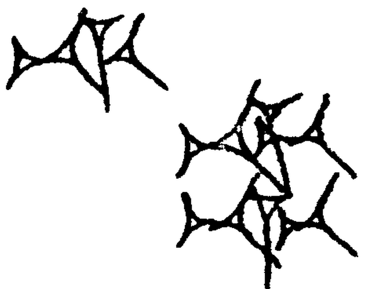 1.signes2_html_a195bc3.jpg 1.signes2_html_a195bc3.jpg