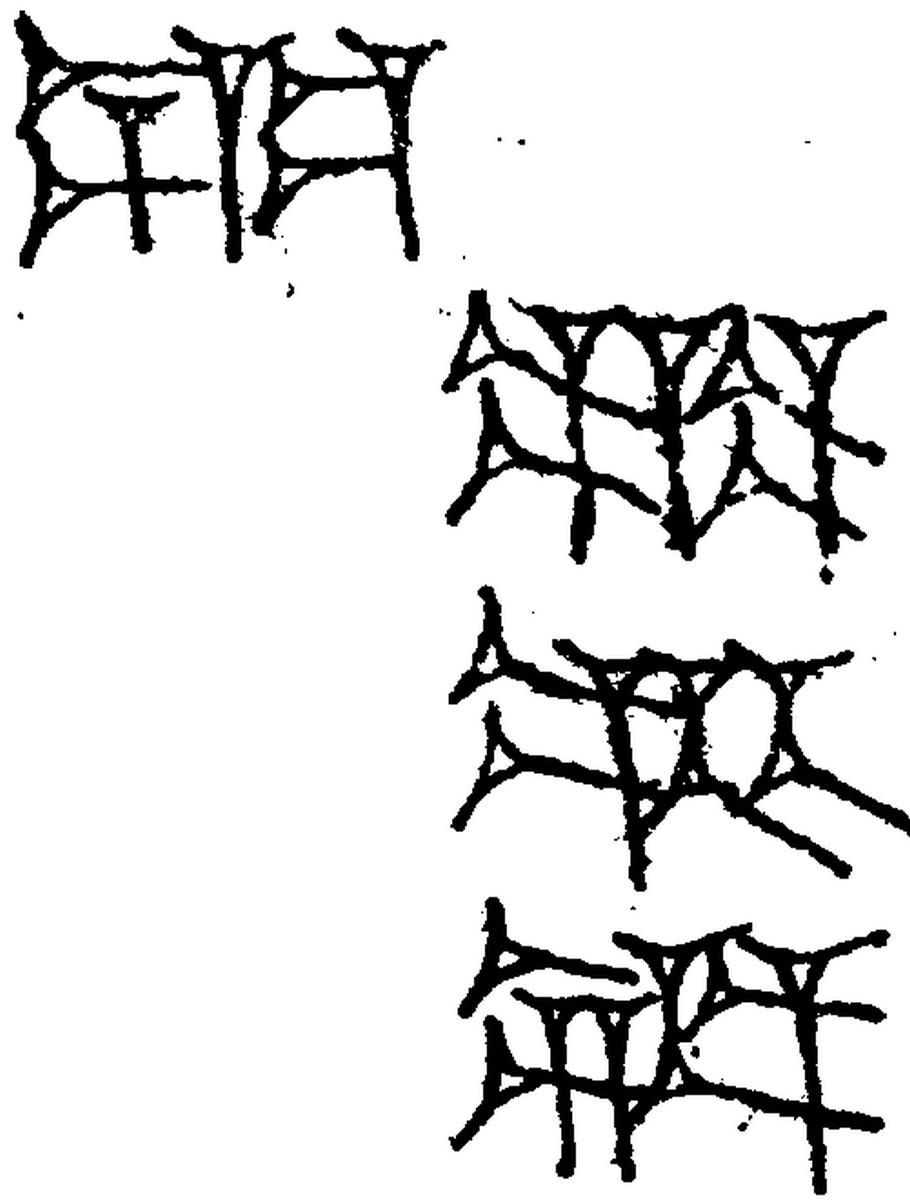 1.signes2_html_6df1a096.jpg 1.signes2_html_6df1a096.jpg