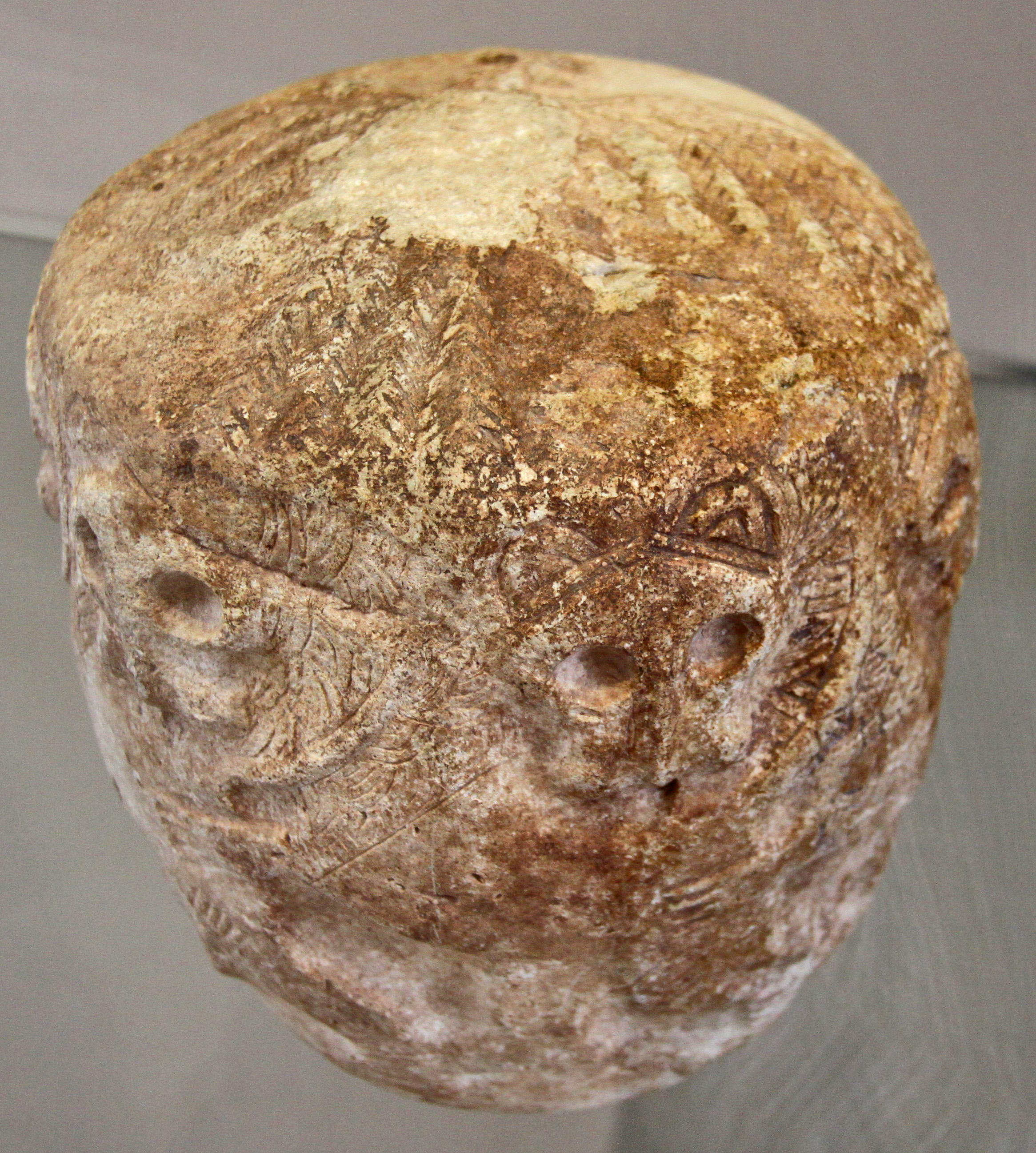 p222741_detail.jpg