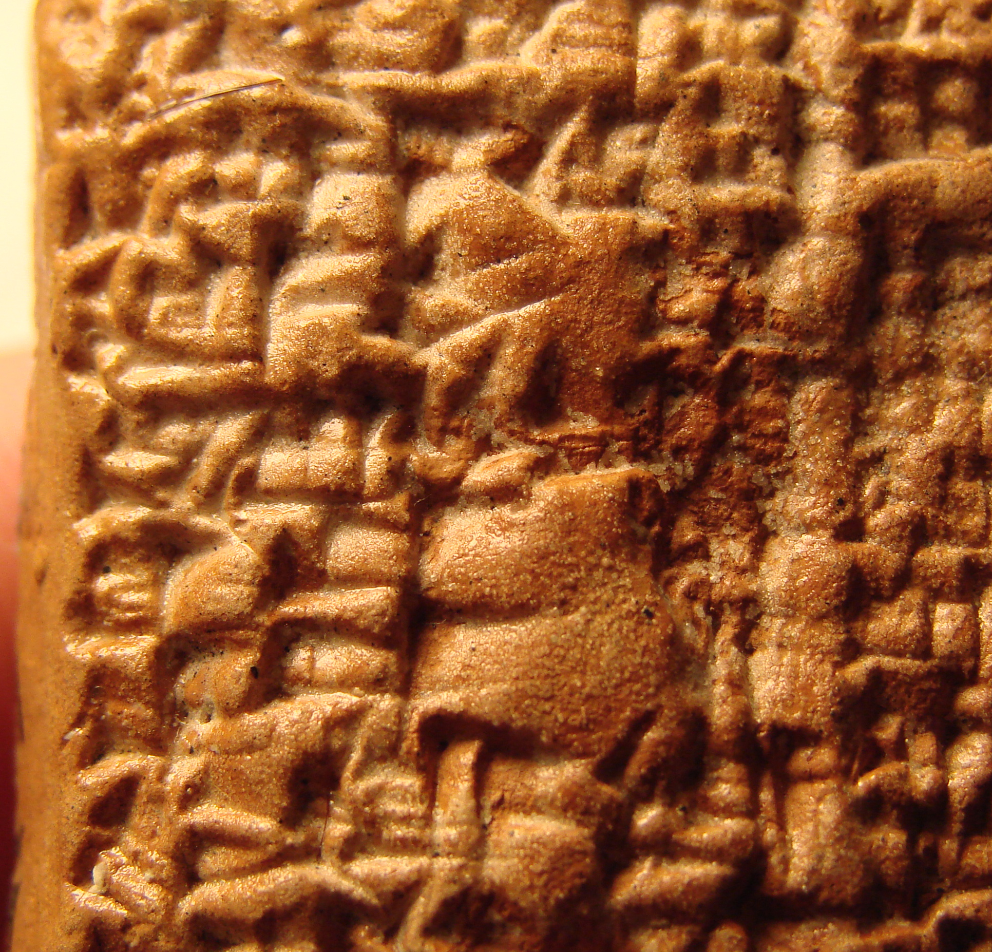p255993_detail.jpg