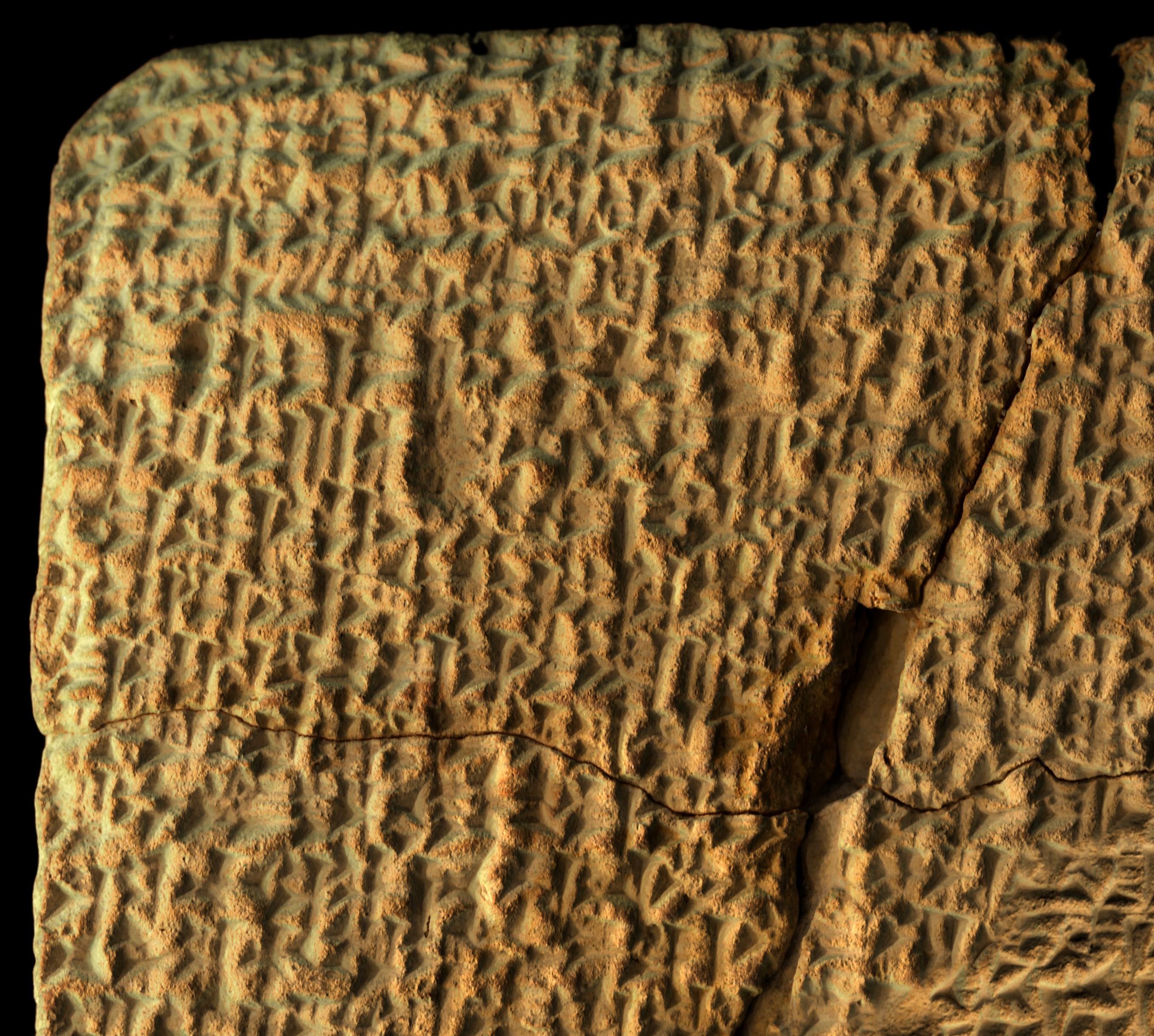 p348900_detail.jpg