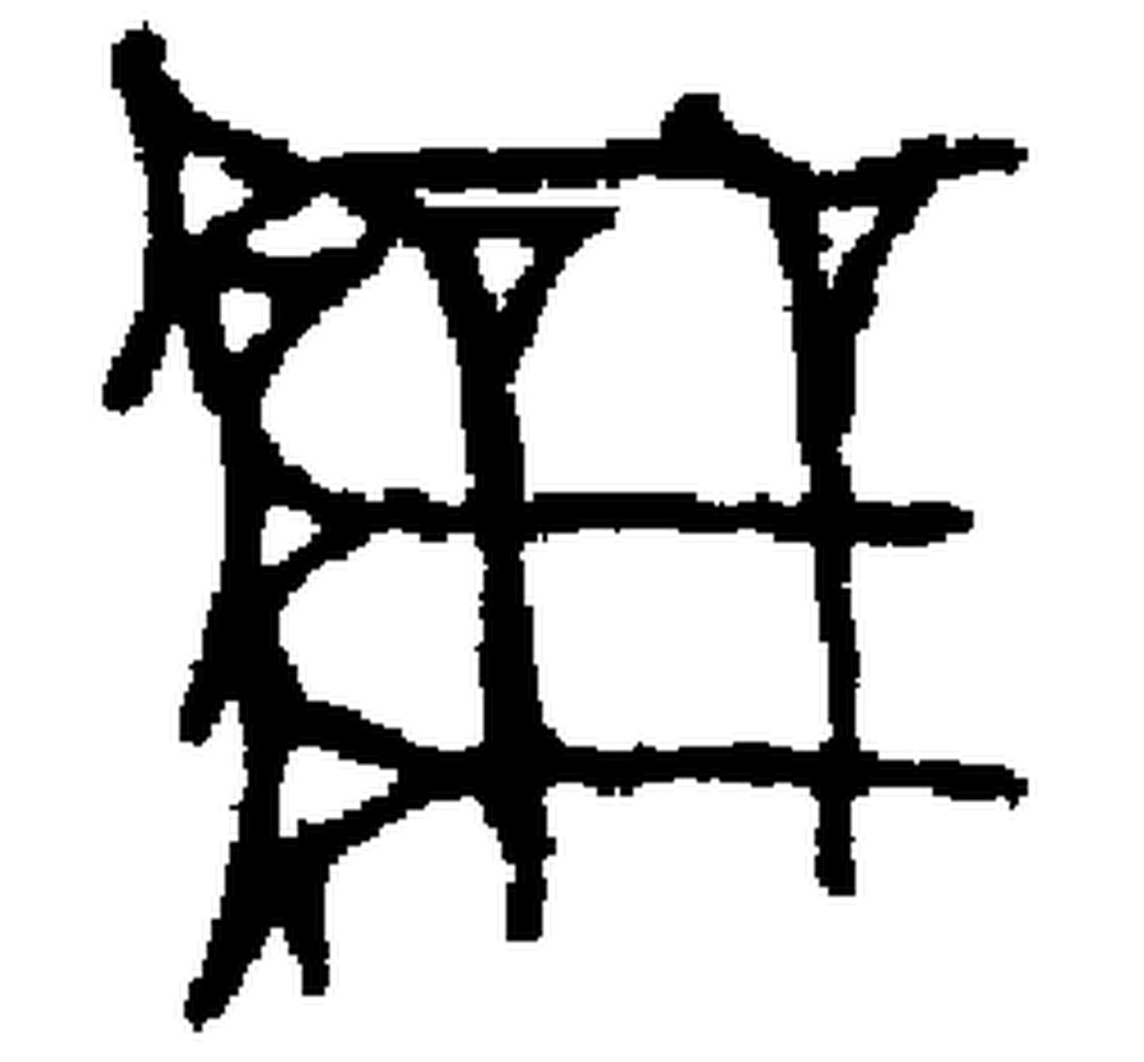 1.signes2_html_41656224.jpg 1.signes2_html_41656224.jpg