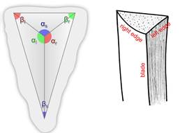 Fig. 2: The basic shape of the wedge and the stylus tip can be abstracted as a tetrahedron and a polyhedral cone respectively.