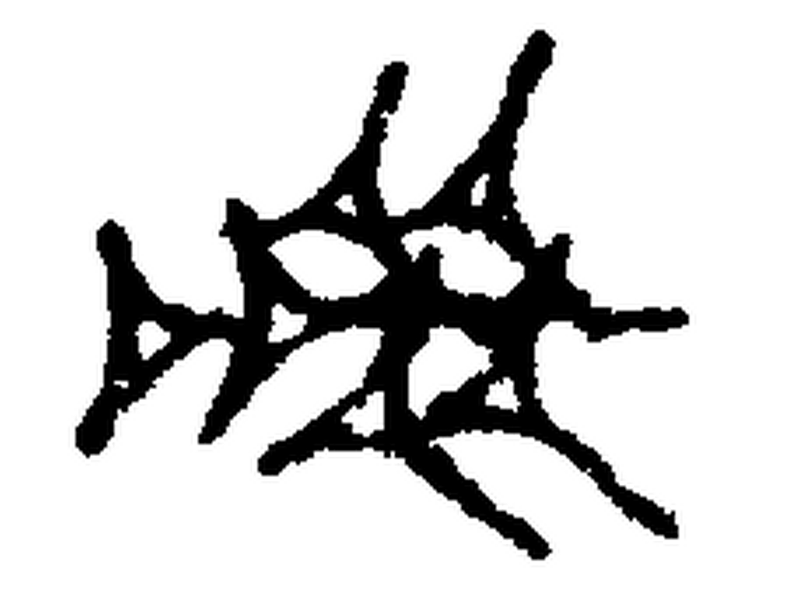 1.signes2_html_m57d0eab3.jpg